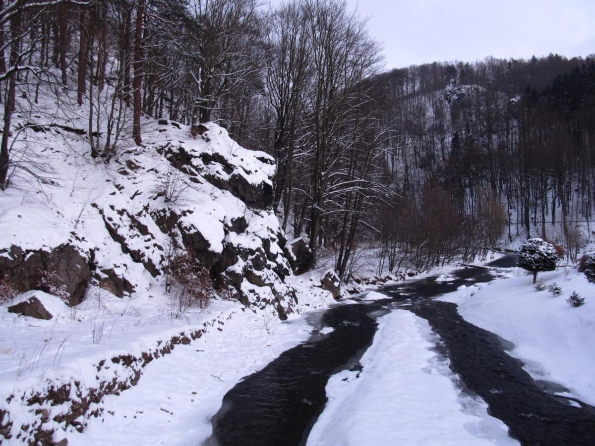 Chata za Górami Zagórze Śląskie Exterior foto